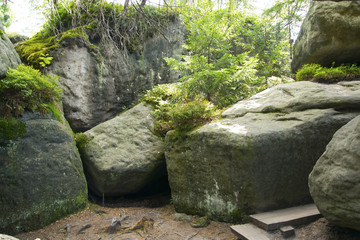 Ziemia Kłodzka - Błędne Skały © KrólestwoNauki
