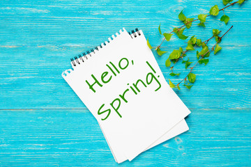Fototapeta na wymiar hello spring, message with fresh spring birch branches