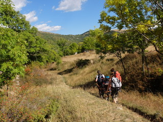 Groupe de randonneurs hanidcap&eacute;s en montagne 