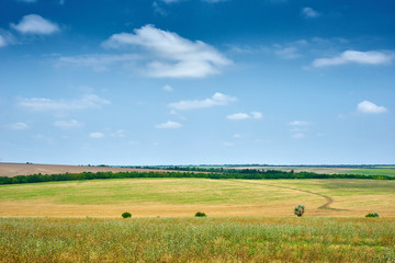 Fototapeta premium beautiful spring landscape, green field and bright cloudy sky