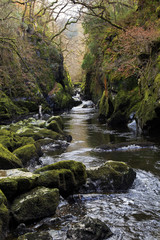 Fairy Glen Gorge and waterfall on the river Conwy at Betws-y-coed, Snowdonia, Wales
