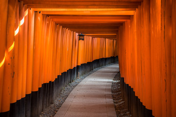Red Torii of Fushimi Inari Shrine, Kyoto, Japan
