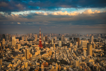 Fototapeta na wymiar Tokyo aerial panoramic view