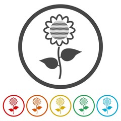 Sunflower symbol icon, 6 Colors Included