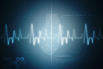 2d illustration  Anatomy of Human Heart 
