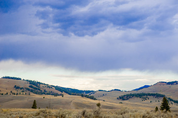 Landscape of Yellow Stone National Park, America