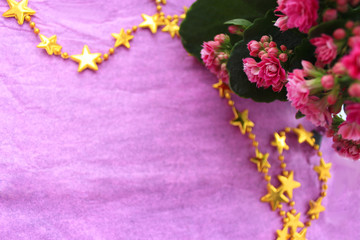 Purple flat lay: pink kalanchoe flower, yellow small stars with copy space. Selective focus
