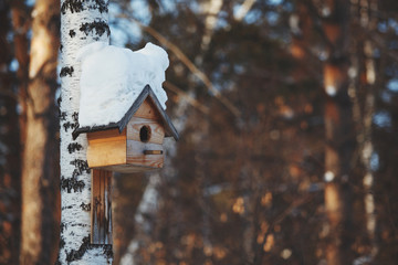 Birdhouse covered with snow hanging on a tree