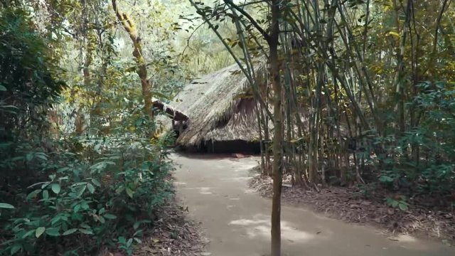 Straw A hut Vietnam Jungle tracking shot