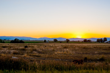 Obraz premium American Landscape on the road