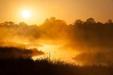 A horizontal, backlit, colour photograph of a slow, winding river glowing brightly in the golden-orange misty morning light, in the Okavango Delta, Botswana.