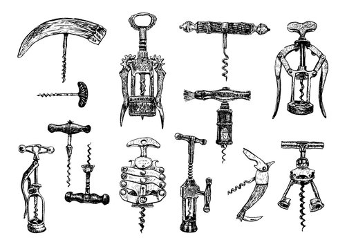 Big set of corkscrew. Vector hand drawn sketch of corkscrew set. Corkscrew on a white background. Illustration, sketch in ink hand drawn style