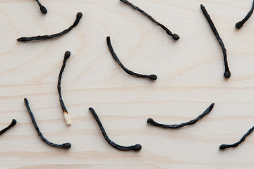 a few wooden burnt matches against a light brown tree