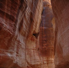 Jordanie, défilé de Pétra