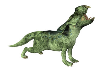 Obraz na płótnie Canvas 3D Rendering Dinosaur Protoceratops on White