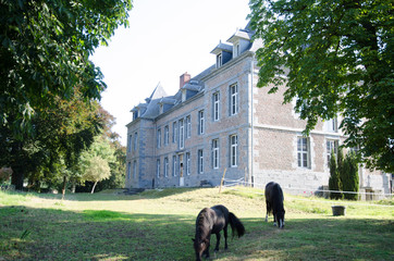 Vall&eacute;e de la Meuse, Ardennes