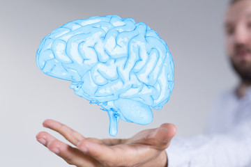 brain