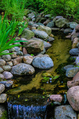 Gebirgsbach mit Steinen und grünen Pflanzen am Ufer