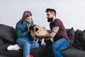 tattooed couple playing with dogs at home