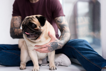 cropped image of tattooed man hugging pug at home