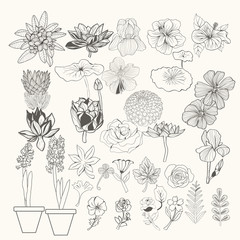 illustration design element flowers and leaves line art.