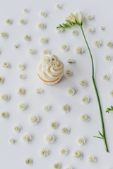 spring cupcake on a white background with flowers.