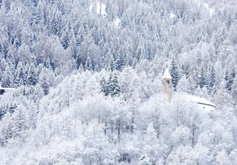 inverno in trentino