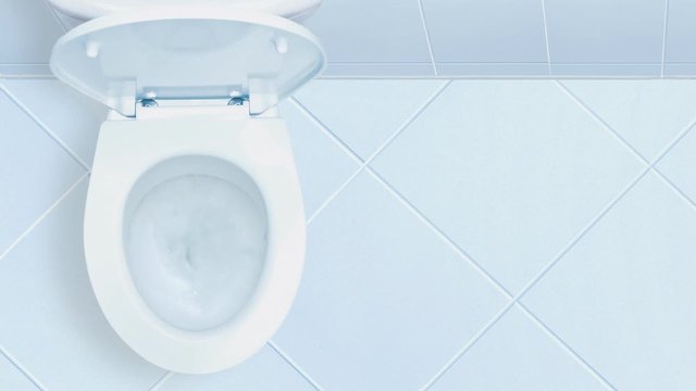 Toilet in the bathroom. View from above.