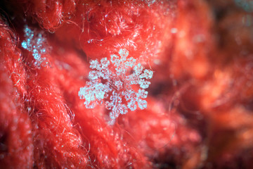 real snowflakes in the winter frozen in the cold layers of the atmosphere heavenly beauty unique live snowflake among frosty patterns and snow