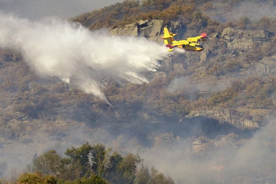 A yellow aircraft Canadair or water bomber in action on a wildfire
