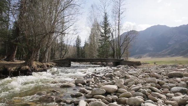 The fast wild river with wooden bridge goes through the bright mountain valley. The forest is on the one side of the pure water and the round stones are on the other. The plaint between the riverside