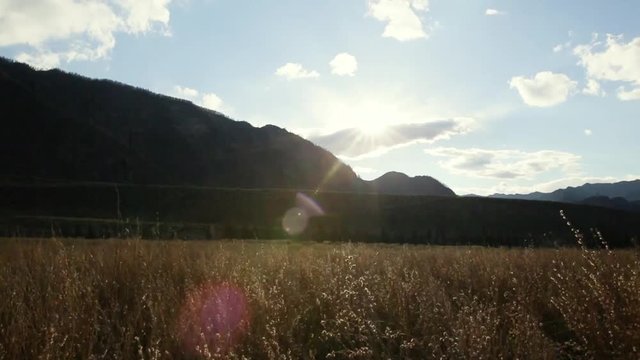 The dried grass is swinng on the wind in autumn mountain valley. The dark hills with forest on are at the backgroung and the sun lights this facsinating natural landscape shining throught the clouds
