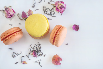 French macaroons and dry tea with rose buttons on white background with copy space, top view,
