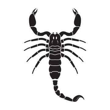 Scorpion icon. Vector realistic scorpion.