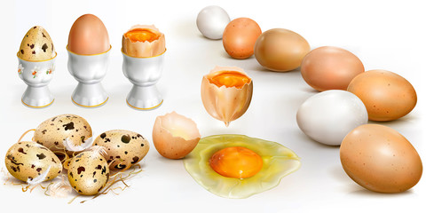 A set of chicken and quail eggs