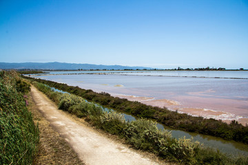 Fototapeta na wymiar QUARTU S..E: Panoramica delle saline all'interno del Parco Regionale di Molentargius - Sardegna