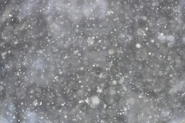 snow falls from the sky in front of sunlight in winter