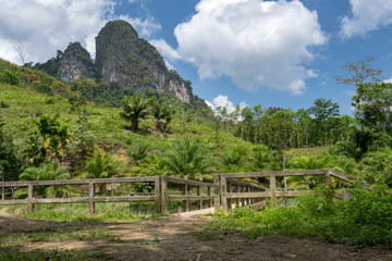 Fototapeta na wymiar peaks of mountains in the jungle