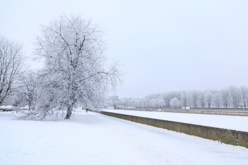 Naklejka premium The riverbank in Kaliningrad in deep winter