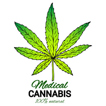 Illustration of medical cannabis. Suitable for use in the design of packaging, advertising, posters