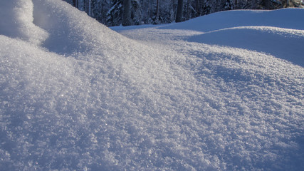 Obraz premium Snow