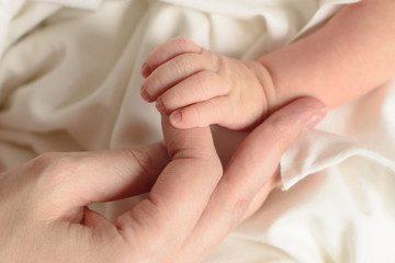 Close-up of a baby hand in mother's hand.