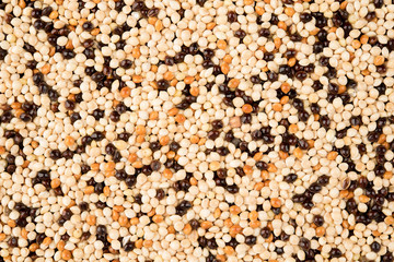 Mixed bird seed texture on top view food for parakeet pigeon and all bird