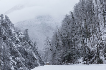 Fototapeta premium mountain top in winter covered with fog
