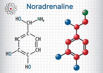 Noradrenaline (NA, norepinephrine , NE )  molecule .  It is a hormone and neurotransmitter. Structural chemical formula and molecule model. Sheet of paper in a cage