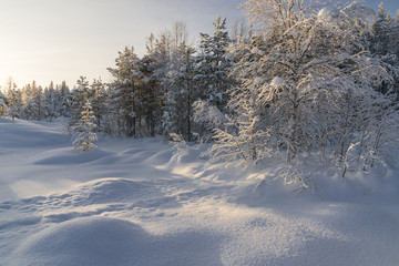  The winter in swedish Lapland