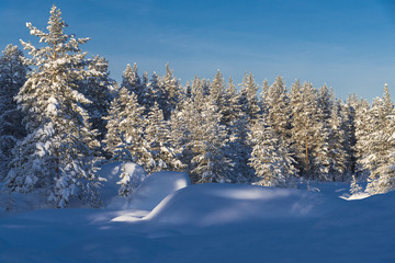  The winter in swedish Lapland