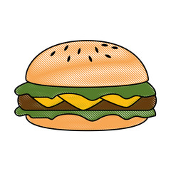 delicious burger isolated icon vector illustration design