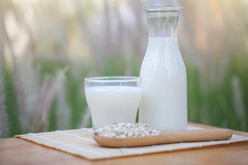 Pouring milk in the glass on the background of nature.