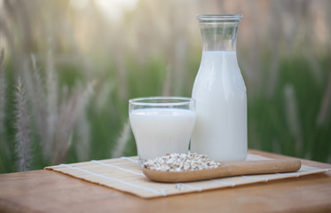 Pouring milk in the glass on the background of nature.